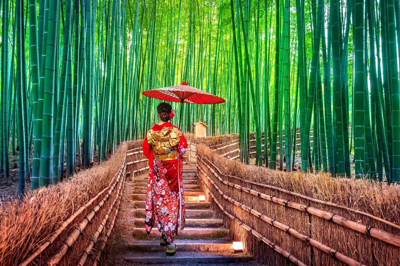 Tokyo Tours Package: The Smart Entrepreneur’s Guide to Learning from Japan’s Business Culture